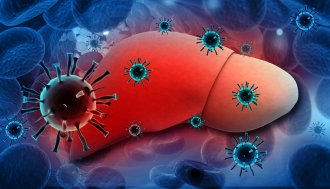 Вирусный гепатит – классификация, симптомы и эффективные методы лечения заболевания