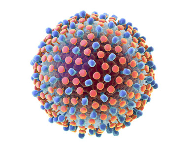 Что такое гепатит Ц